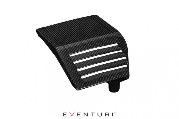 Eventuri Honda Civic FK2 Type R Side Panel